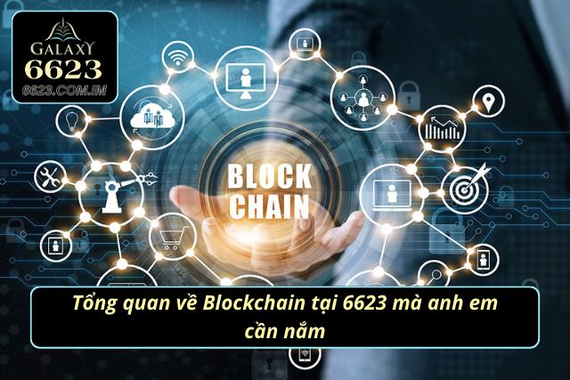 Blockchain 6623 - Con Đường Làm Giàu Nhanh Nhất Trong Năm 2025 Đôi nét cơ bản về hình thức đặc biệt này