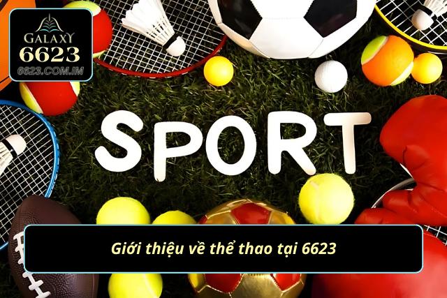 Thông tin nổi bật về chuyên mục bet kèo tại nhà cái 6623