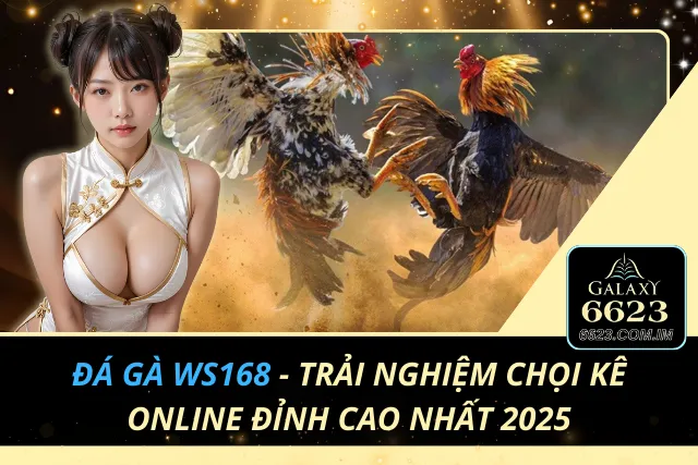 Đá Gà WS168 - Trải Nghiệm Chọi Kê Online Đỉnh Cao Nhất 2025 Đá Gà WS168